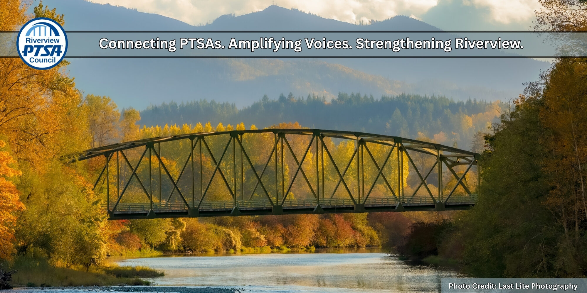 bridge cover photo